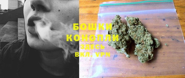 винт Бородино