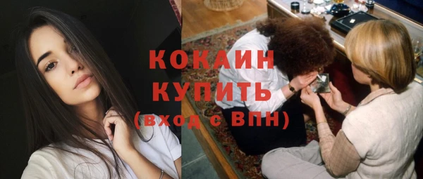 винт Бородино
